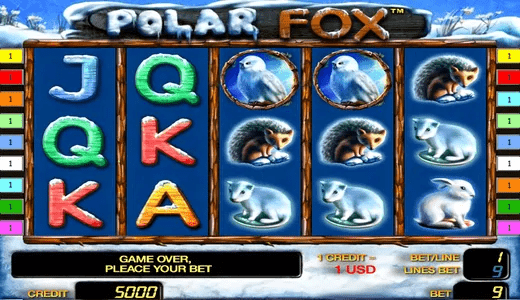 PolarFox